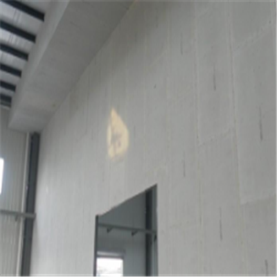连平宁波ALC板|EPS加气板隔墙与混凝土整浇联接的实验研讨